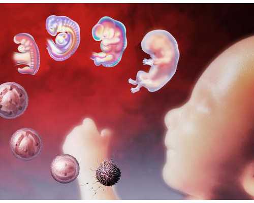 2026年佛山市试管第三代费用明细表出炉，如何降低价格呢？